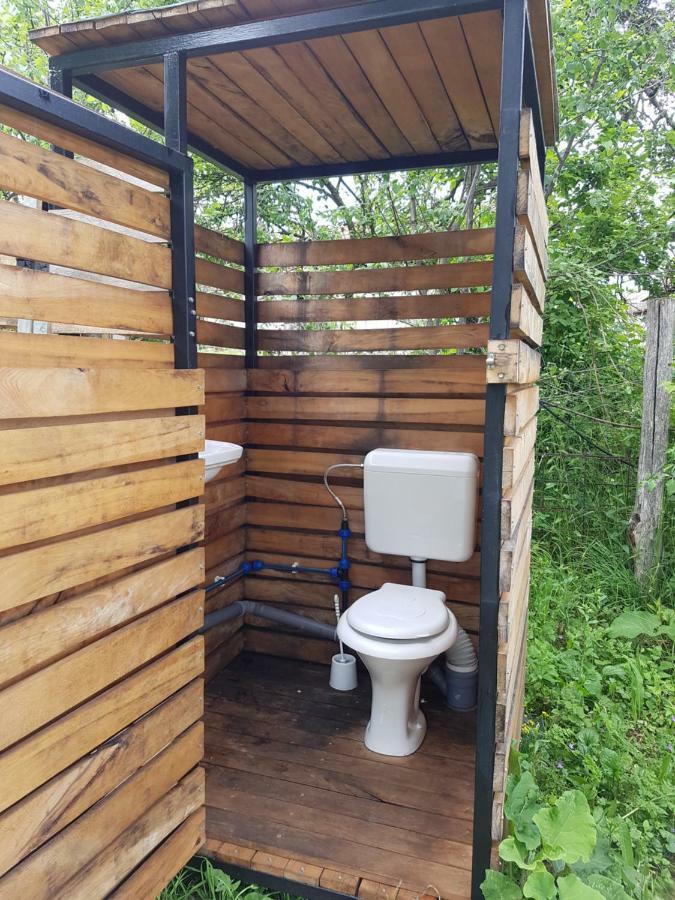 Retezat Retreat - Wood Cabin Clopotiva Екстер'єр фото